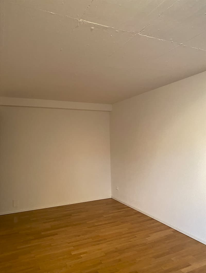 Appartamento 1,5 locali in una casa multifamiliare ben curata in affitto (9)