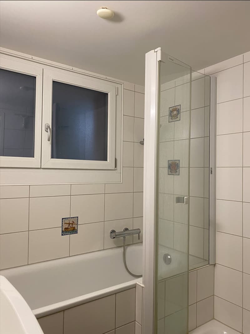 Appartamento 1,5 locali in una casa multifamiliare ben curata in affitto (6)