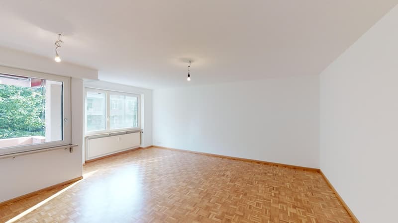 Appartamento 3.5 locali ristrutturato di alta qualità con vista sul verde (6)