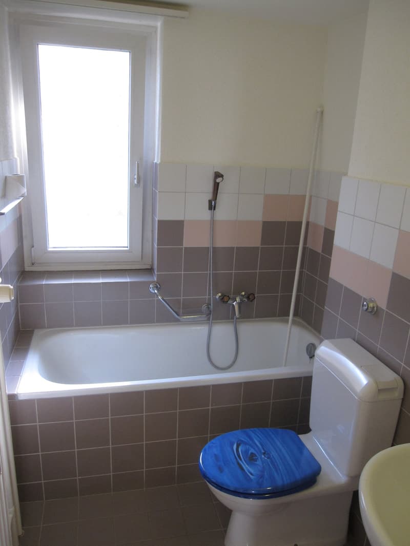 Charmante Wohnung in Muttenz zu vermieten (3)
