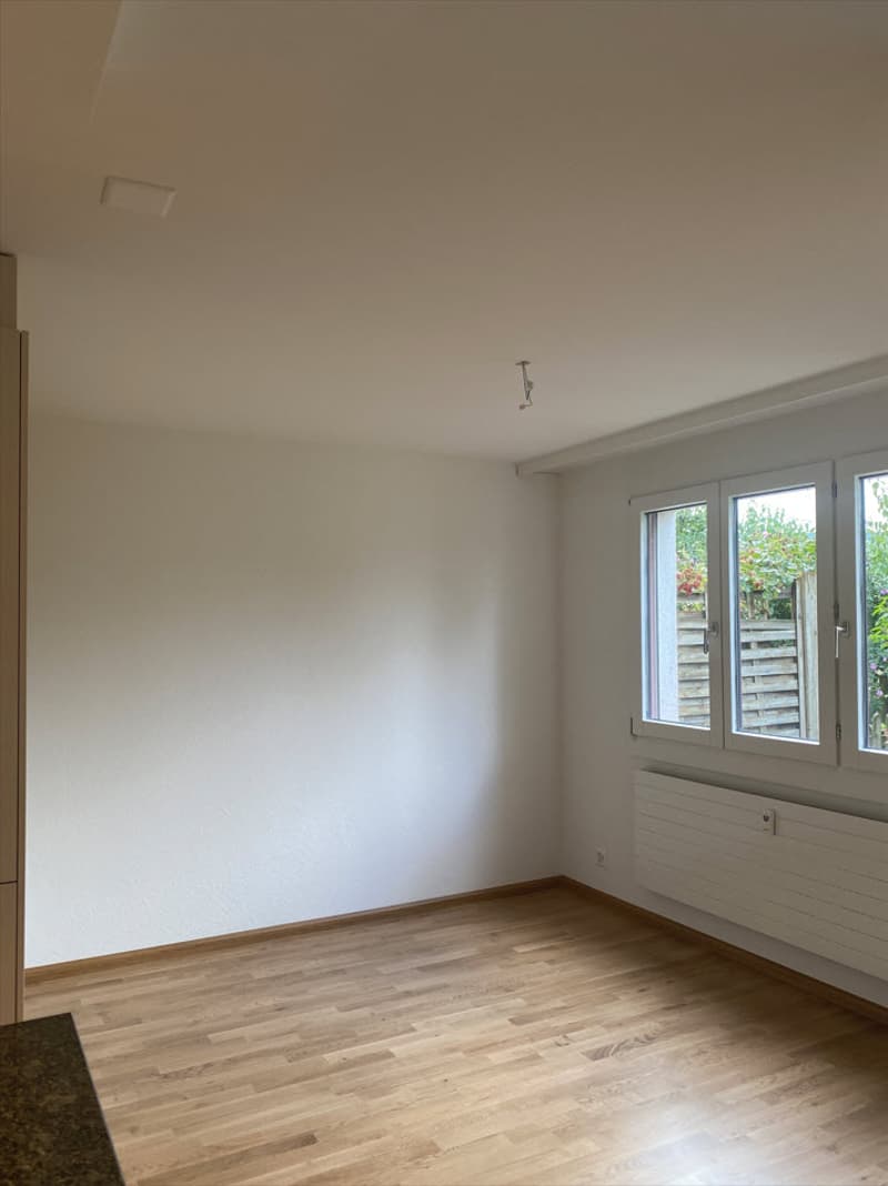 Neu sanierte Wohnung mit Blick ins Grüne zu vermieten (4)