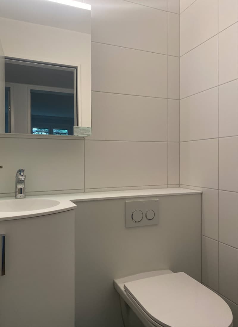 Neu sanierte Wohnung mit Blick ins Grüne zu vermieten (7)