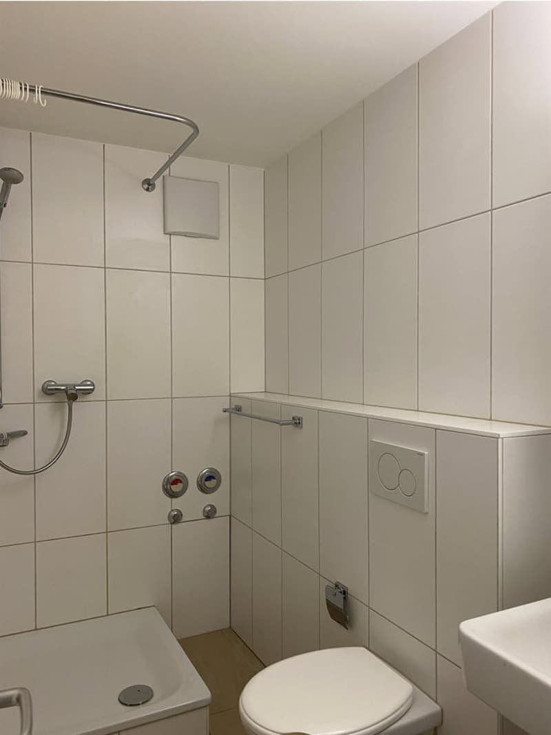 2.0 room apartment near Wettsteinplatz for rent (3)