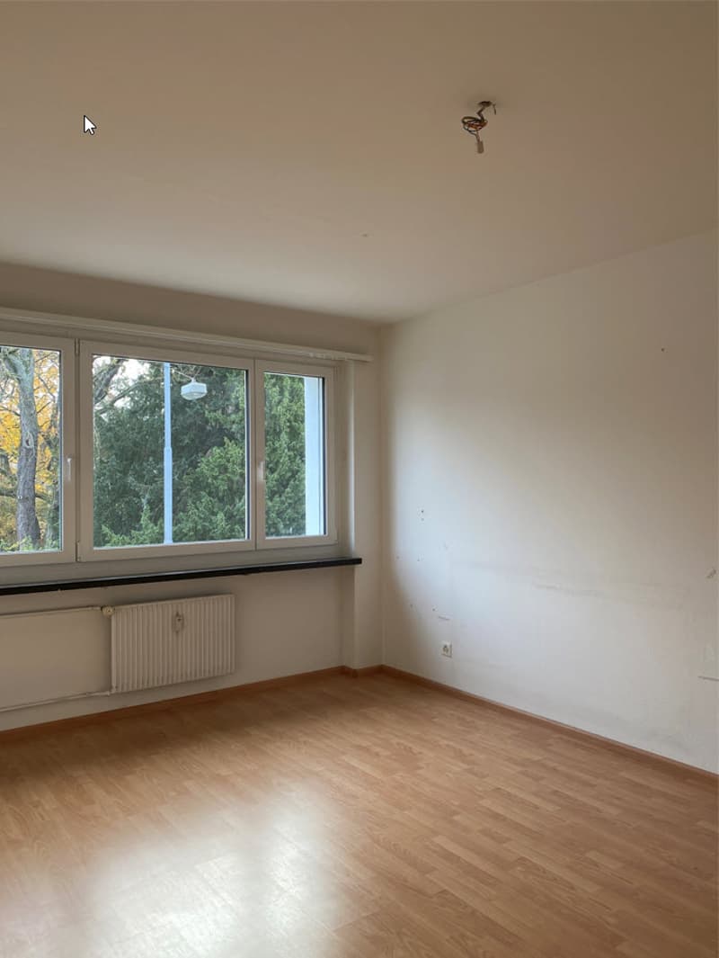 2.0 room apartment near Wettsteinplatz for rent (5)