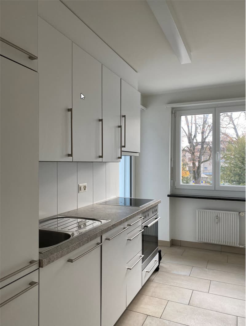 2.0 room apartment near Wettsteinplatz for rent (2)