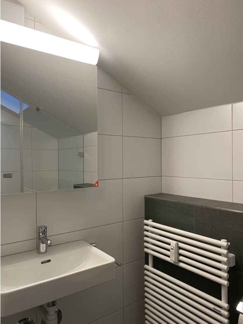 Top sanierte, gemütliche 2.0 Zimmer-Dachwohnung - ruhig gelegen (4)