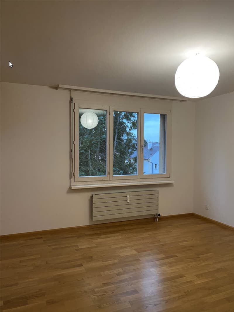 Top sanierte, gemütliche 2.0 Zimmer-Dachwohnung - ruhig gelegen (7)