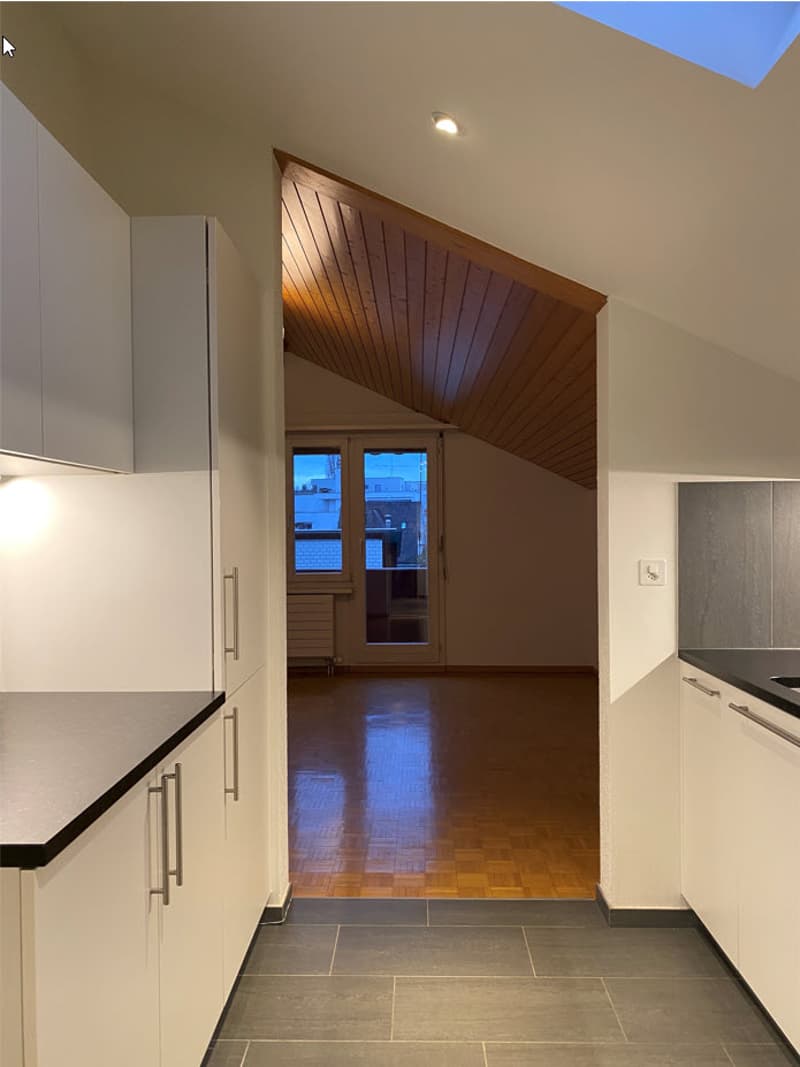 Top sanierte, gemütliche 2.0 Zimmer-Dachwohnung - ruhig gelegen (3)