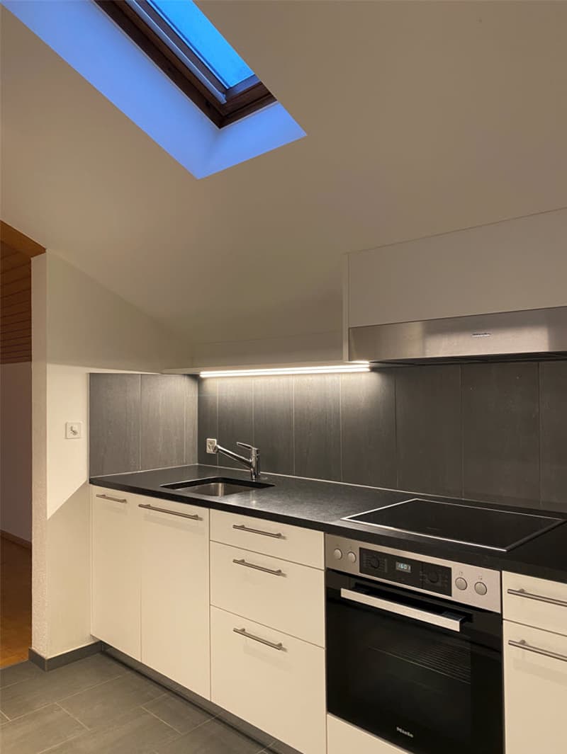 Top sanierte, gemütliche 2.0 Zimmer-Dachwohnung - ruhig gelegen (1)