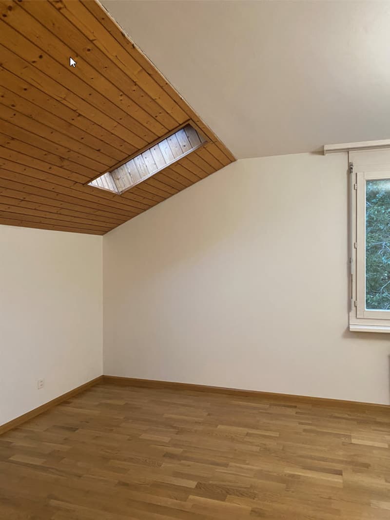 Top sanierte, gemütliche 2.0 Zimmer-Dachwohnung - ruhig gelegen (10)