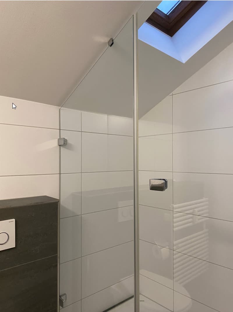 Top sanierte, gemütliche 2.0 Zimmer-Dachwohnung - ruhig gelegen (5)