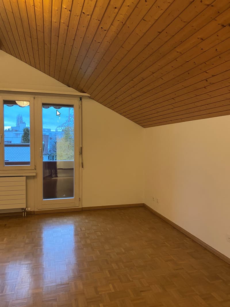 Top sanierte, gemütliche 2.0 Zimmer-Dachwohnung - ruhig gelegen (8)
