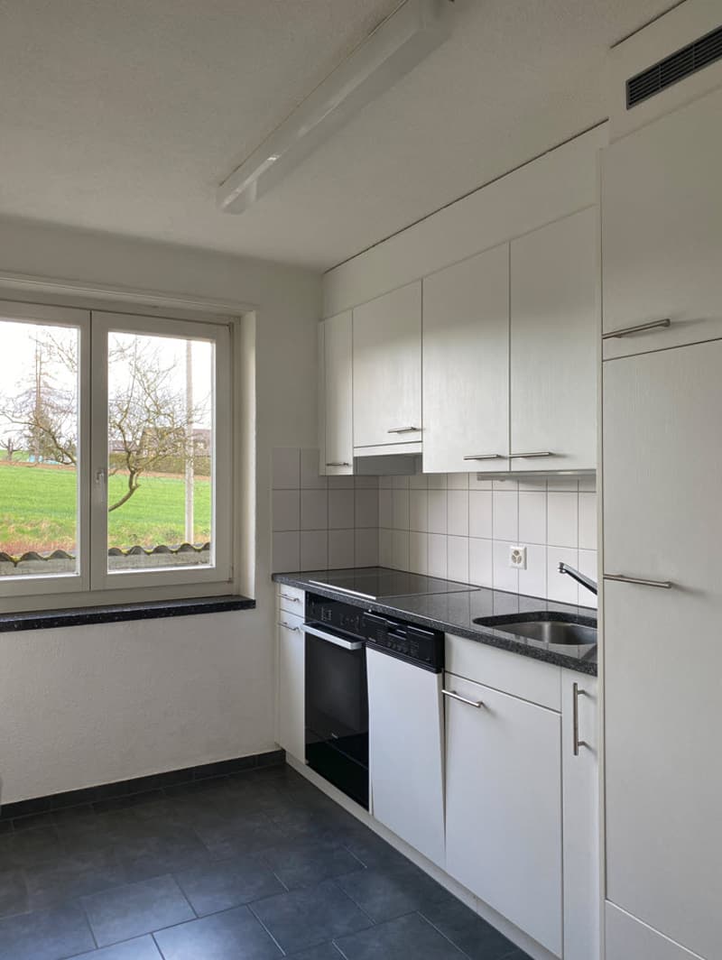 Grosszügige 3.0 Zimmerwohnung im Laufental (3)