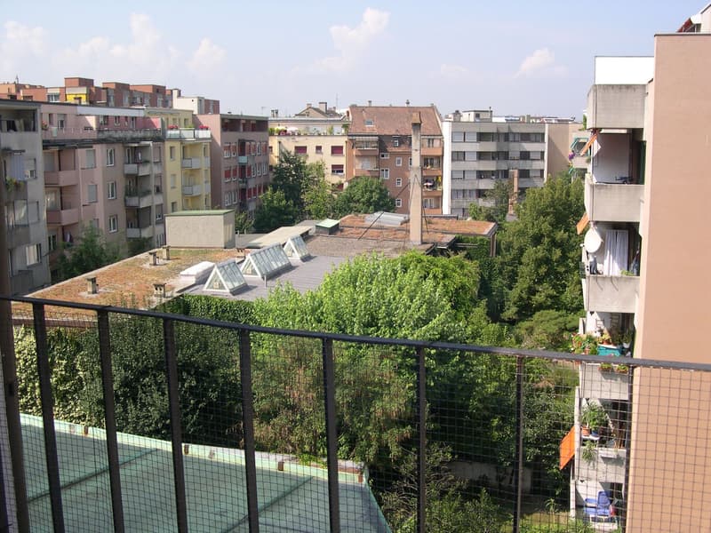 Gemütliche 2.5 Zimmer-Altbau-Dachwohnung (5)
