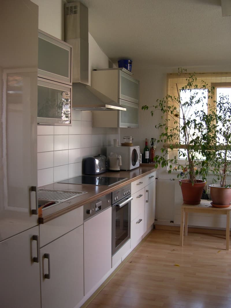 Gemütliche 2.5 Zimmer-Altbau-Dachwohnung (2)