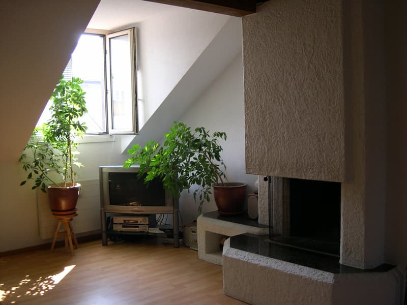 Gemütliche 2.5 Zimmer-Altbau-Dachwohnung (3)