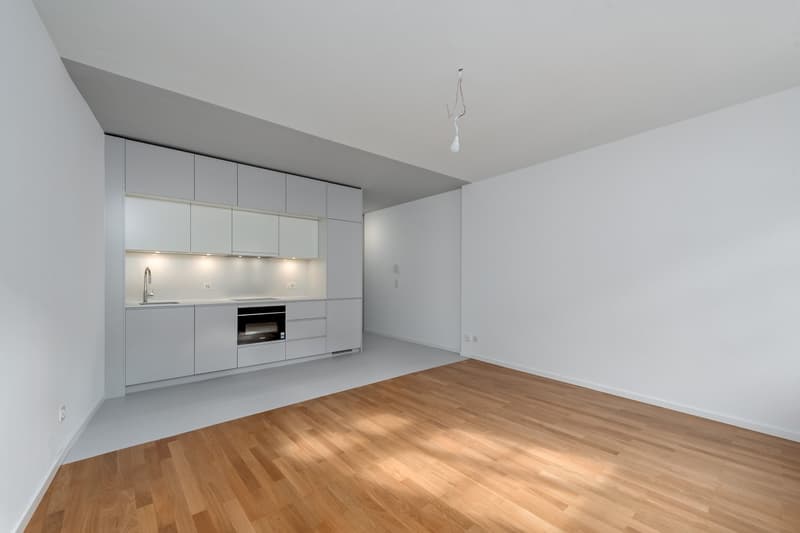 Moderne, sanierte 2.0 Zimmerwohnung am Spalenberg in Basel (2)