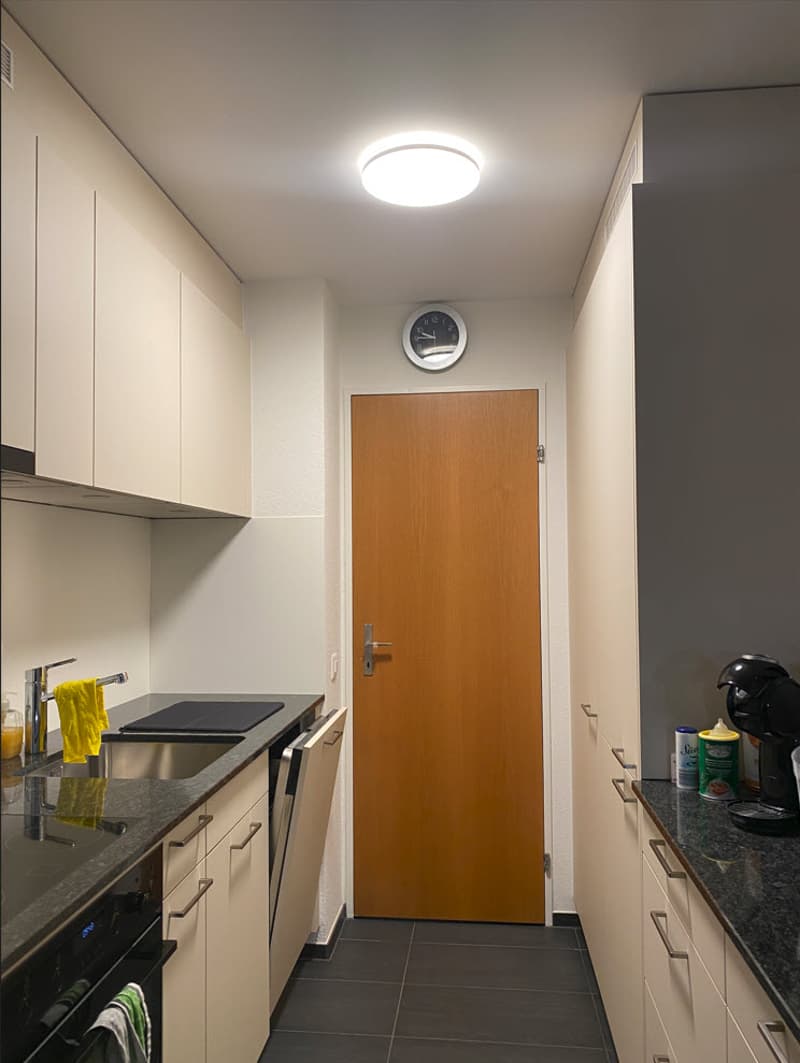 Neu sanierte Wohnung mit Blick ins Grüne zu vermieten (3)
