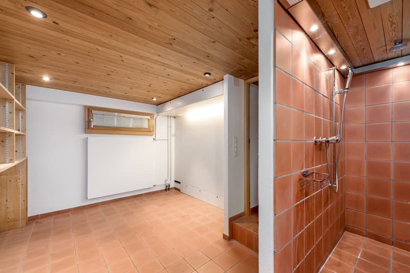 Charmantes 4-Zimmer-Einfamilienhaus an ruhiger Lage in Basel (21)