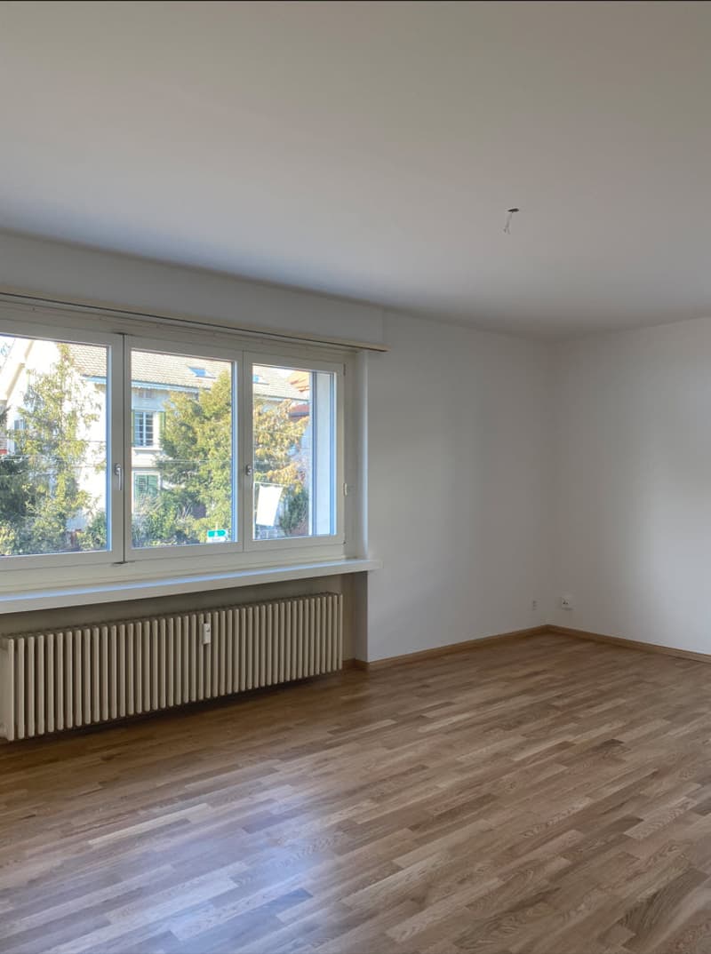 Helle und grosszügige 3.0 Zimmerwohnung an zentraler Lage in Allschwil (5)