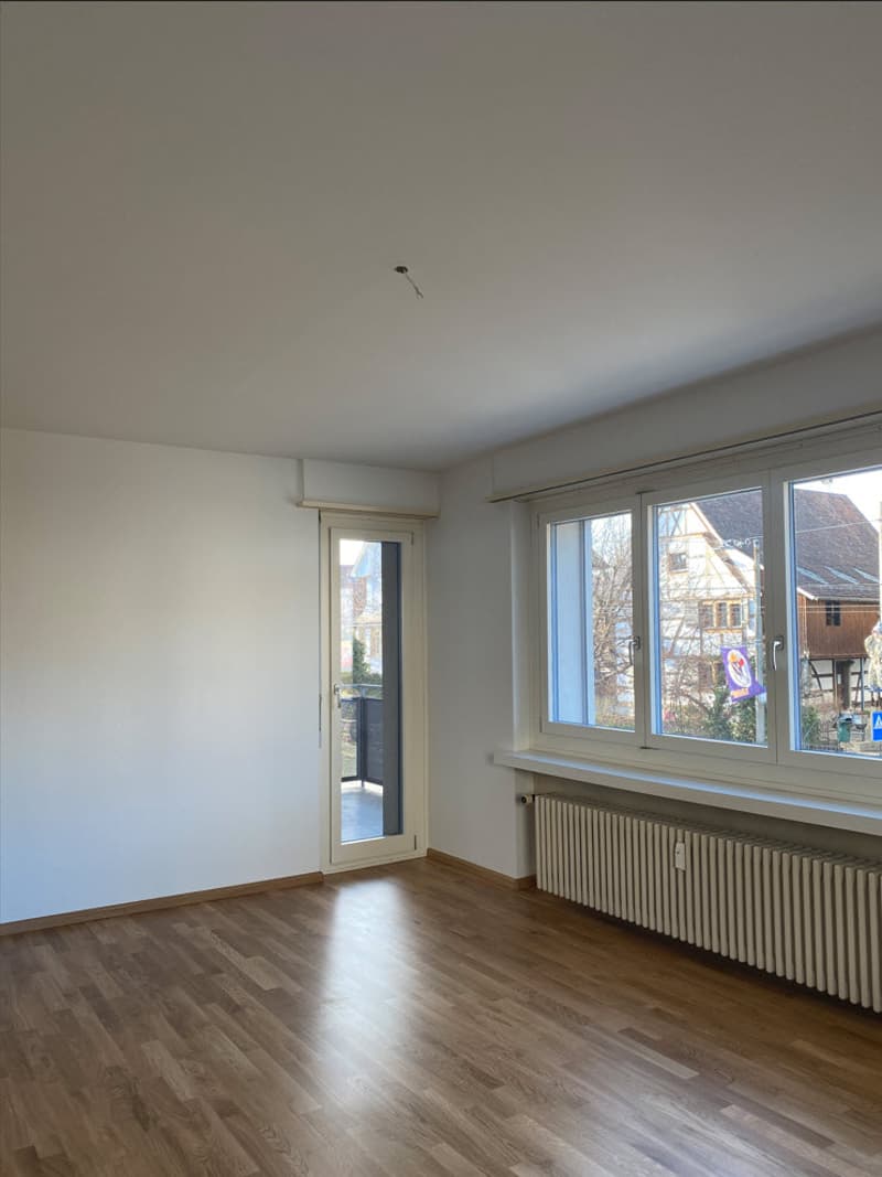 Helle und grosszügige 3.0 Zimmerwohnung an zentraler Lage in Allschwil (6)