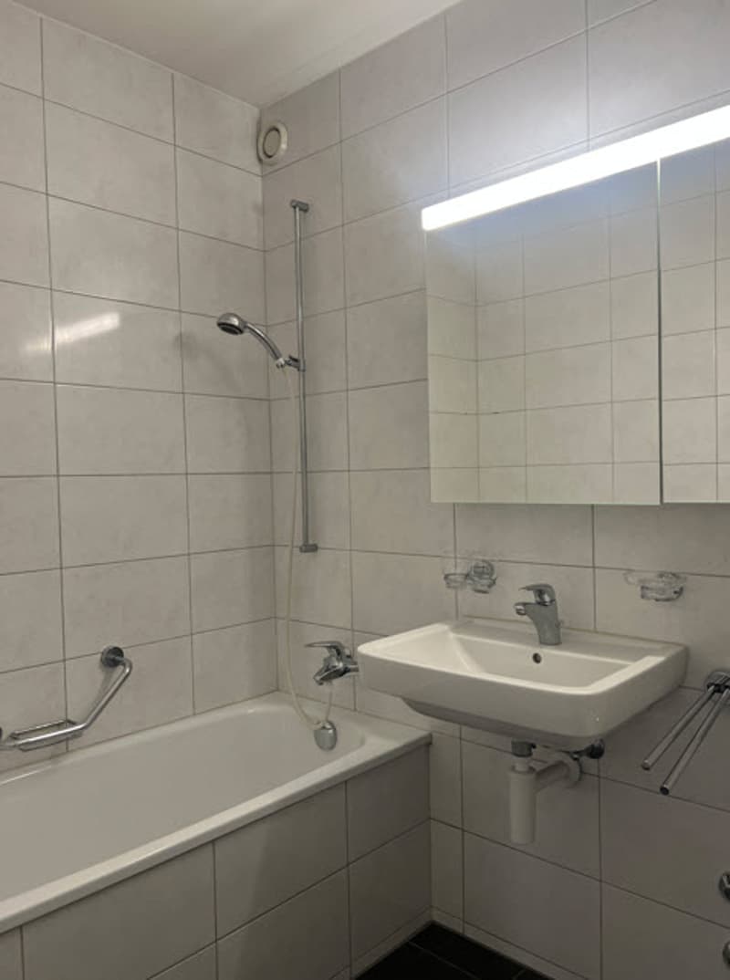 Wohnung mit toller Aussicht (3)