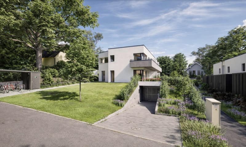 Villa HPE neuve avec jardin privé - lot B (1)