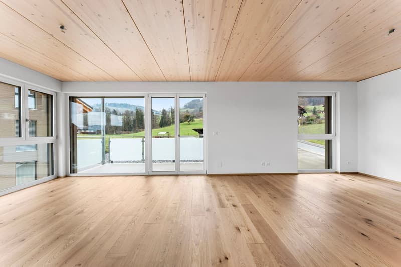 Modern 4.5-room new apartment with balcony in Mühlethurnen (1)