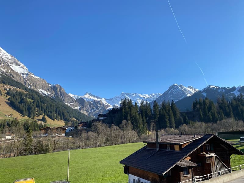 Charming 2-room holiday apartment in Adelboden with a wonderful view (1)