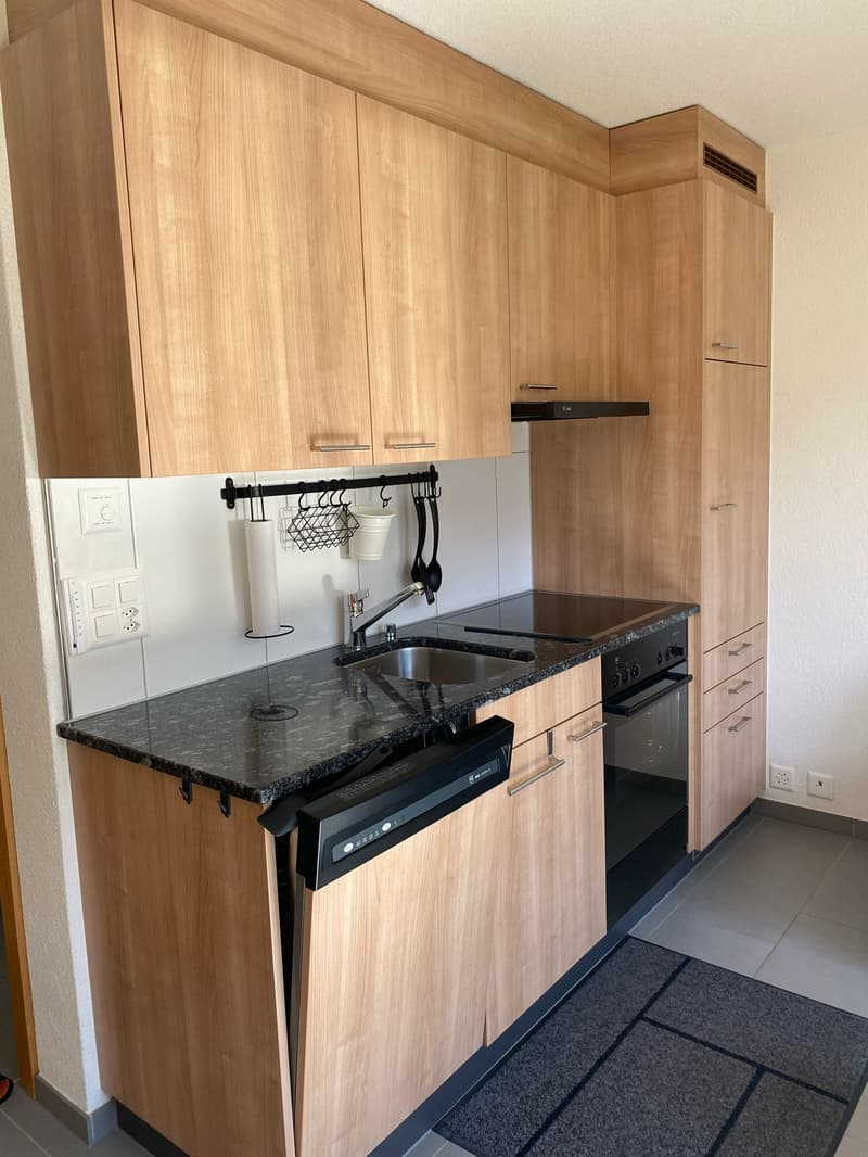 Charming 2-room holiday apartment in Adelboden with a wonderful view (6)