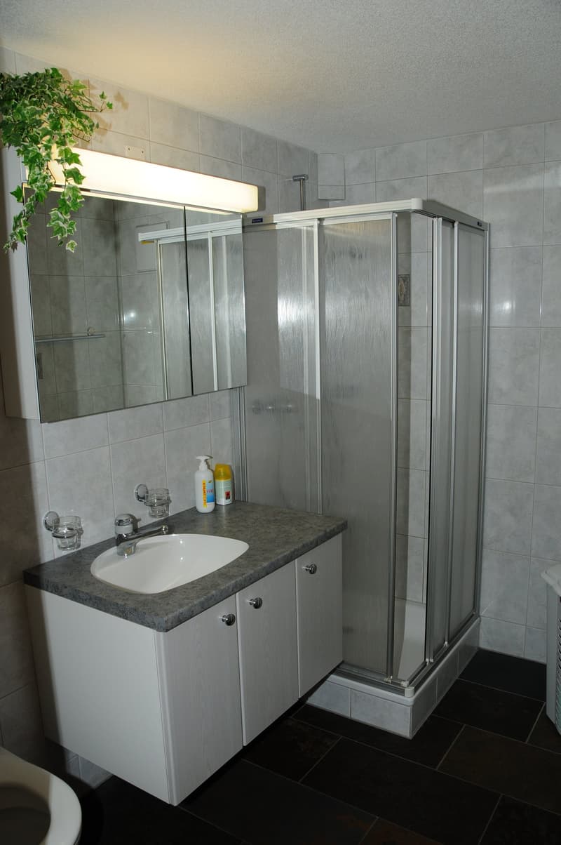 Charmant appartement de 3 pièces avec panorama alpin à Adelboden (8)