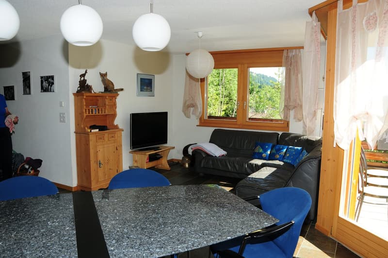 Charmant appartement de 3 pièces avec panorama alpin à Adelboden (5)