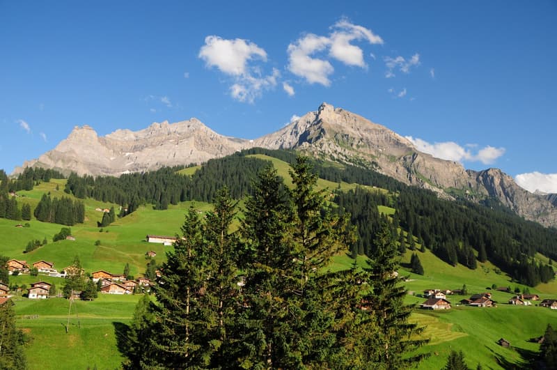 Charmant appartement de 3 pièces avec panorama alpin à Adelboden (2)