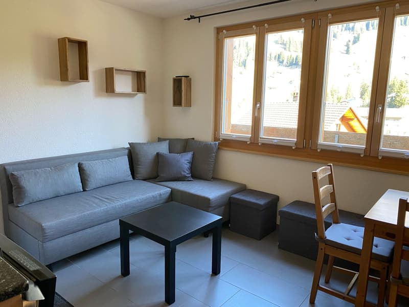Charmante 2-Zimmer-FERIEN-Wohnung in Adelboden mit herrlicher Aussicht (2)