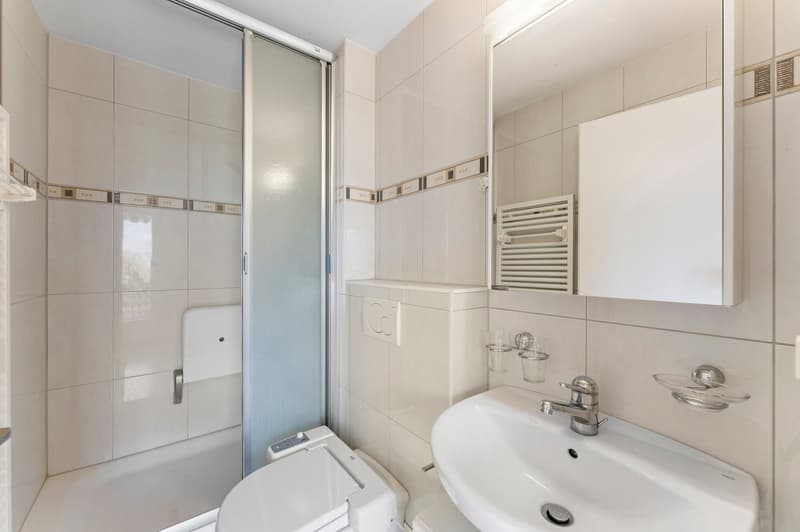 Charmante 3.5-Zimmer-Terrassenwohnung mit traumhaftem Seepanorama in Oberhofen am Thunersee (12)