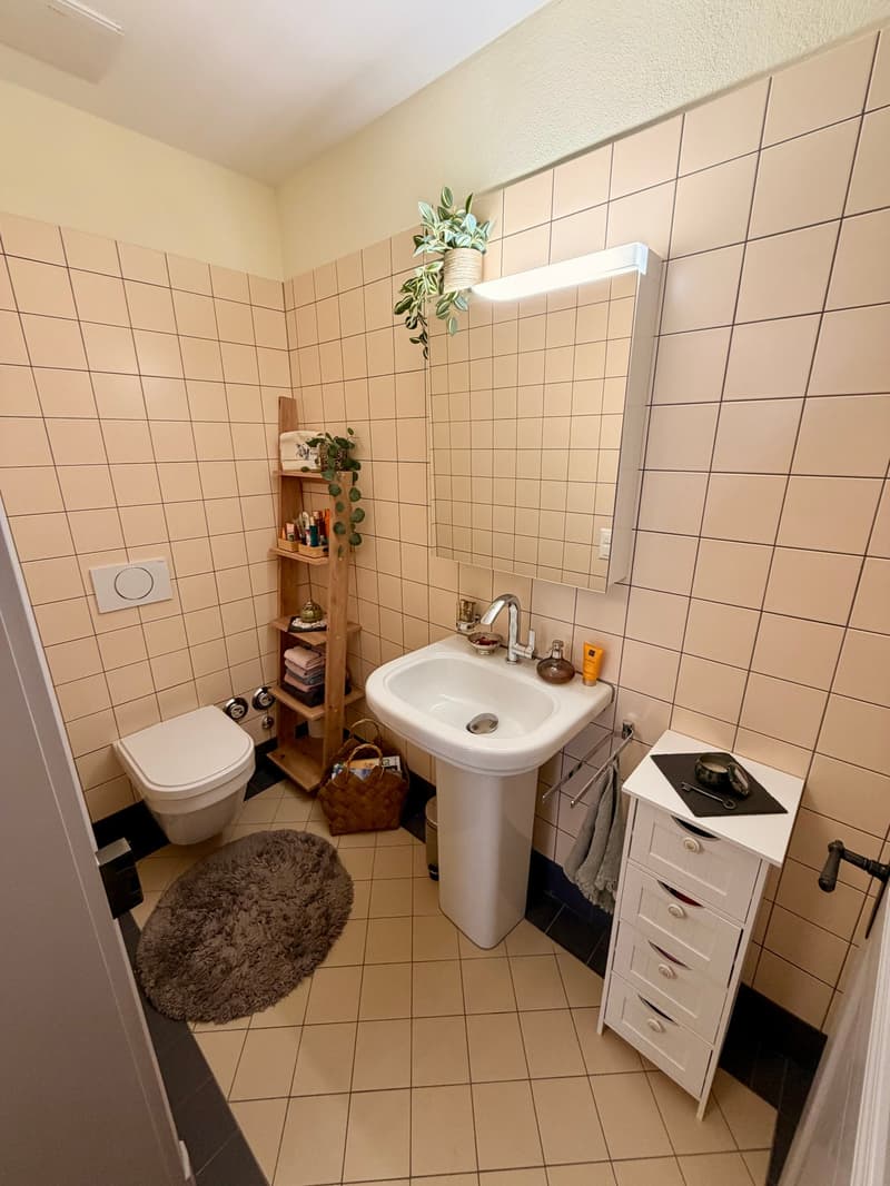 Charmante 2.5-Zimmer-Dachwohnung an ruhiger Lage in Bern (4)
