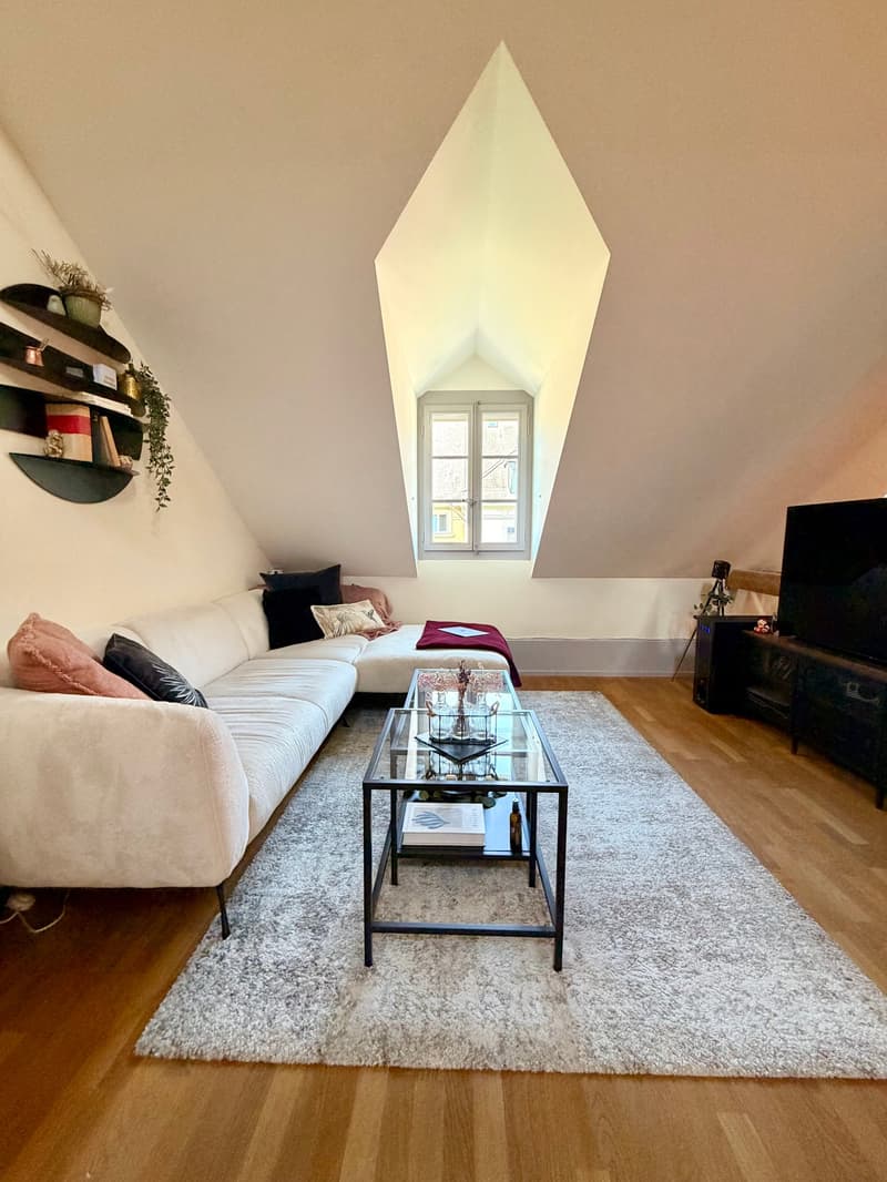 Charmante 2.5-Zimmer-Dachwohnung an ruhiger Lage in Bern (9)