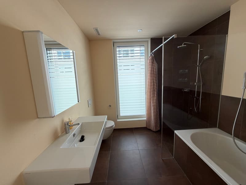 Moderne 4.5-Zimmerwohnung an zentraler Lage in Thun (3)
