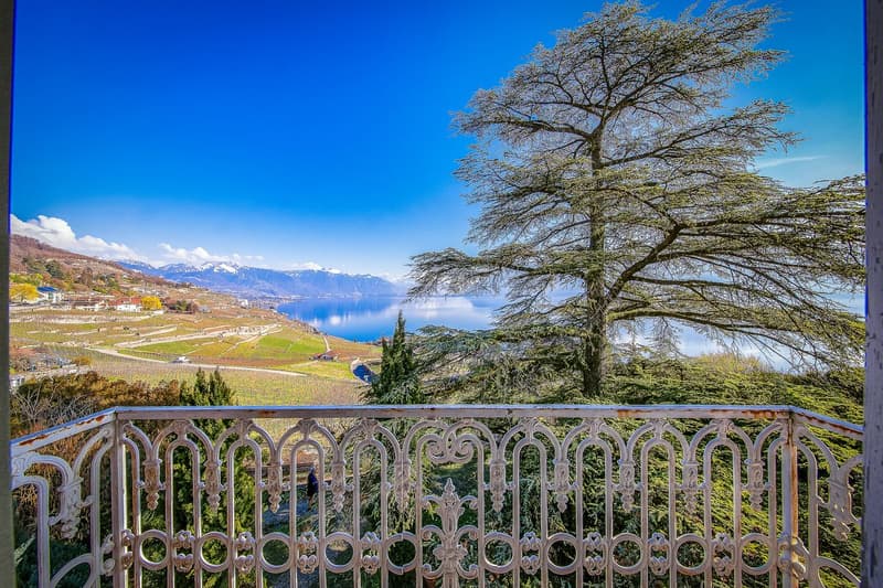 Maison de maître du 19ème siècle bordant les vignes de Lavaux (6)