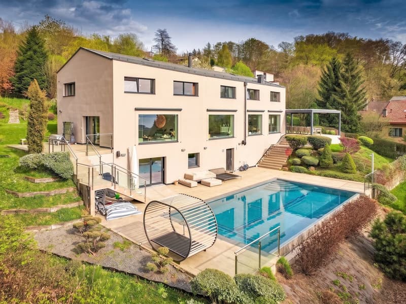 Élégance contemporaine avec vue panoramique sur le Léman (2)