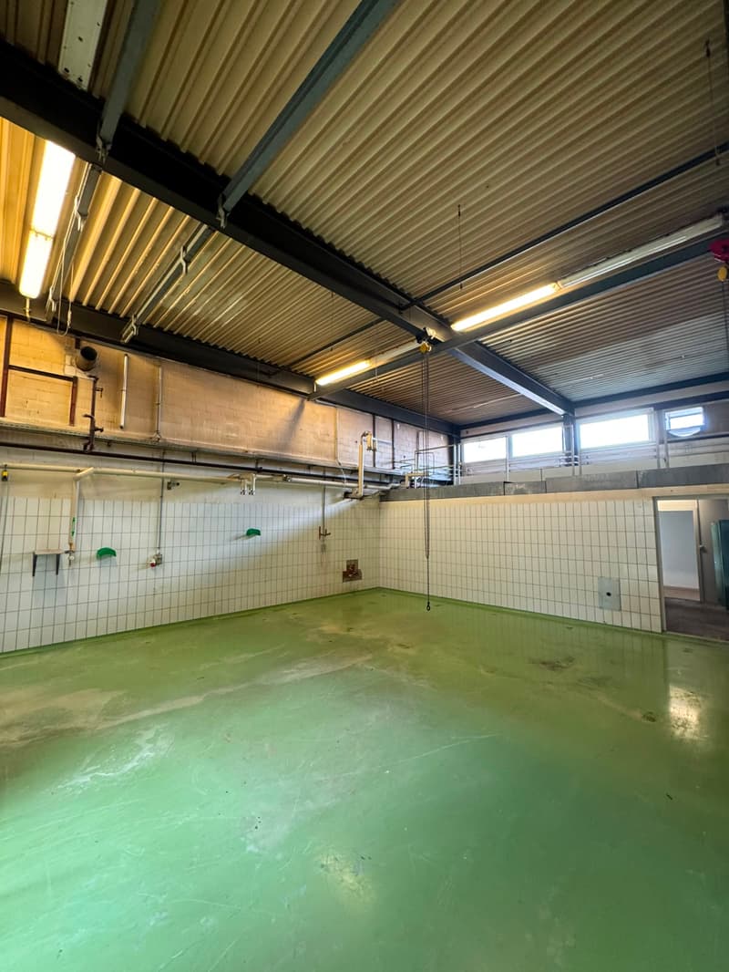 Spazi flessibili di ufficio e produzione in una posizione attraente a Gossau ZH (5)