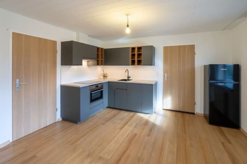 Attraktives 1.5-Zimmer Studio mit herrlichem Blick in Ebikon zur Miete (6)