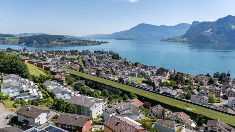 Panorama-Wohnung - Aussichtslage - Interessanter Steuerstandort in Hergiswil (2)
