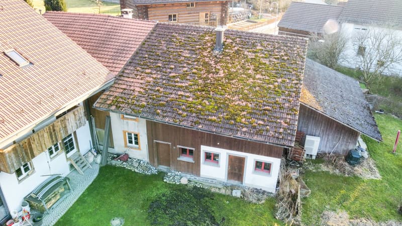 Maison unifamiliale de 6 pièces avec potentiel à Russikon à vendre (4)