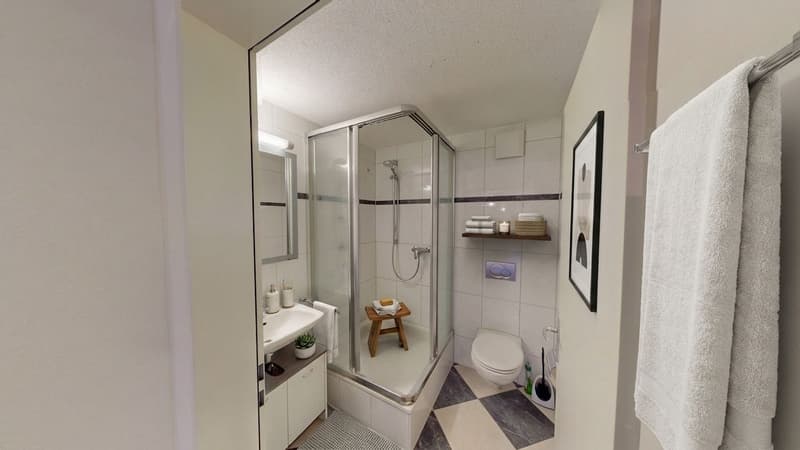 Helle 4-Zimmer-Wohnung mit grossem Balkon in Dietlikon (8)