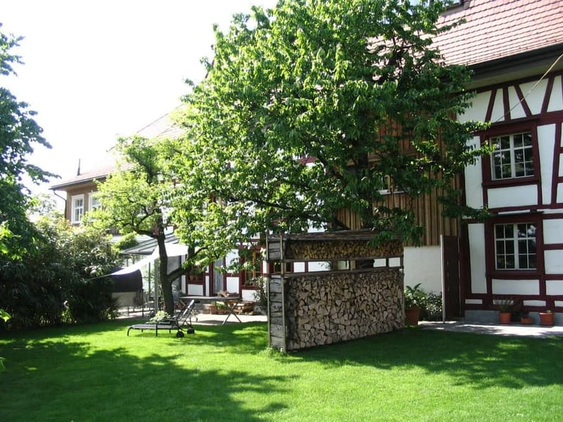 6-room row house with garden in Eschlikon - for sale (2)