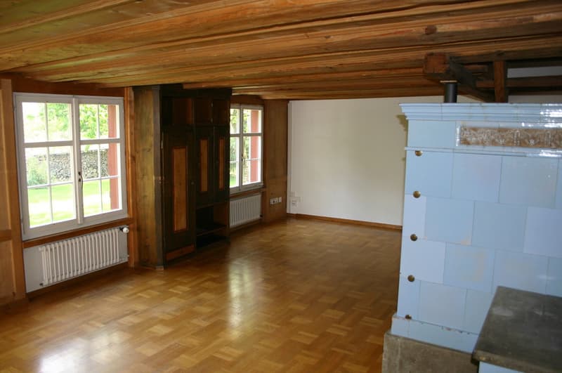Casa angolare di 4,5 locali con 272 m² di studio/ufficio a Eschlikon (4)