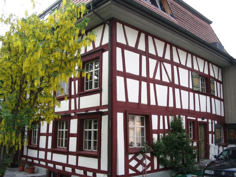 Casa angolare di 4,5 locali con 272 m² di studio/ufficio a Eschlikon (1)