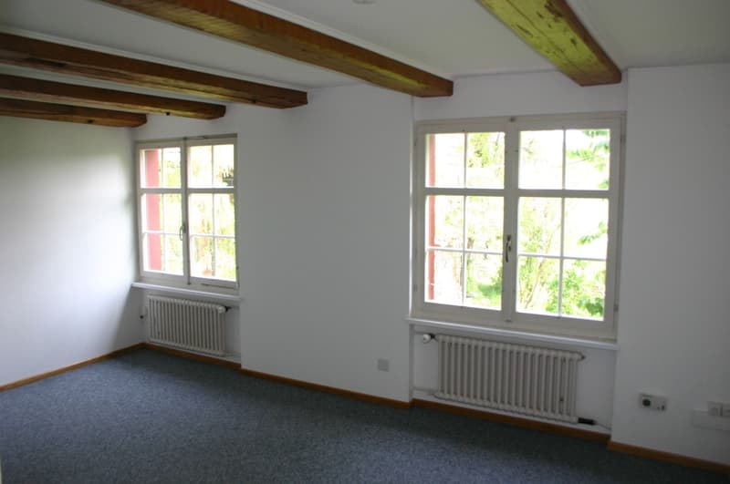 Casa angolare di 4,5 locali con 272 m² di studio/ufficio a Eschlikon (10)