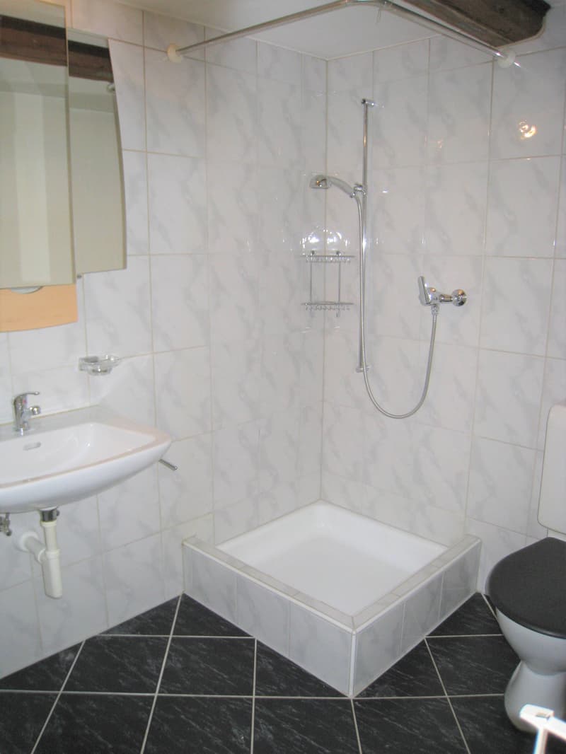 Casa angolare di 4,5 locali con 272 m² di studio/ufficio a Eschlikon (3)